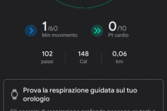 Google Fit